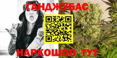 стаф Будённовск