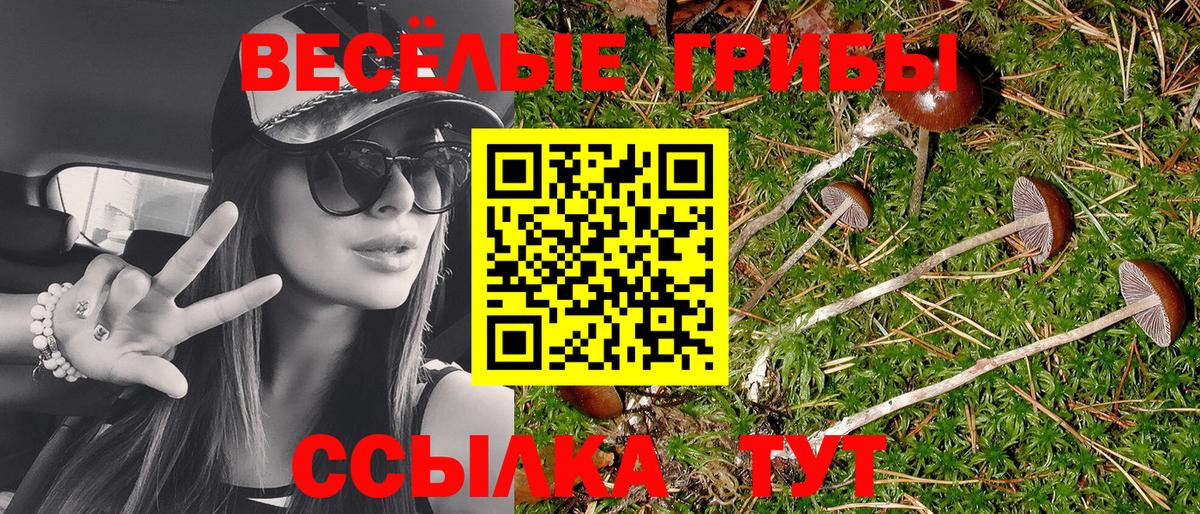Псилоцибиновые грибы прущие грибы  Вход с VPN  Нововоронеж 